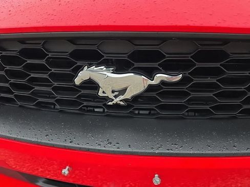 Used 2021 Ford Mustang Coupe RWD image 9