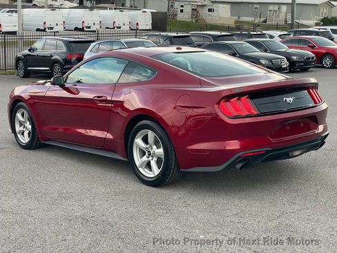 Used 2019 Ford Mustang Coupe image 5