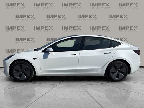 Used 2023 Tesla Model 3 Standard Range RWD image 2