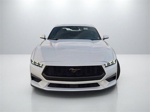 New 2026 Ford Mustang Coupe w/ Bronze Appearance Package image 2