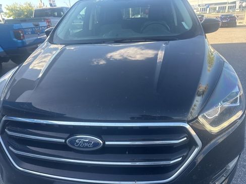 Used 2019 Ford Escape SE image 7