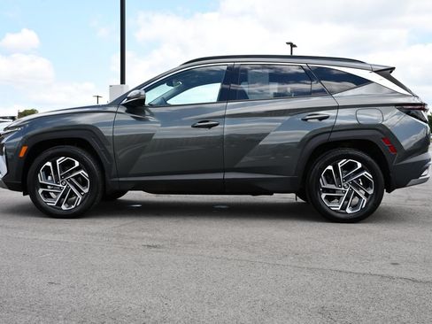 Used 2025 Hyundai Tucson Limited AWD/4WD image 4