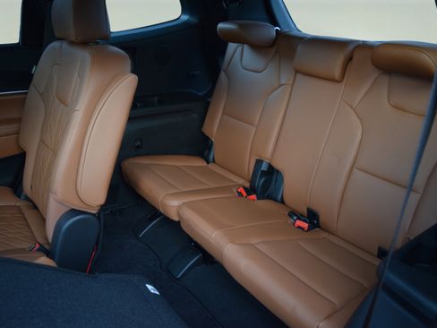 Used 2025 Kia Telluride SX Prestige X-Line image 8