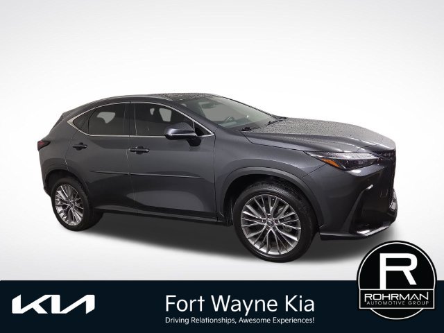 Used 2025 Lexus NX 350h AWD w/ Cold Area Package image 6