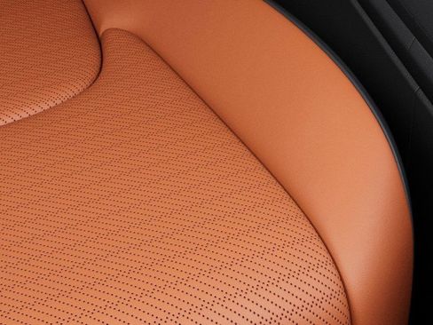 New 2026 Kia Carnival SX Prestige image 27