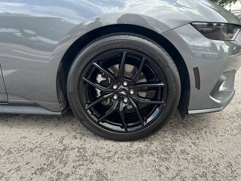 Used 2024 Ford Mustang Premium w/ Mustang Nite Pony Package RWD image 14