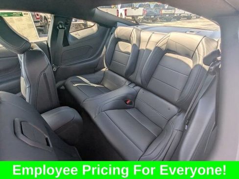 New 2026 Ford Mustang Premium w/ Mustang Nite Pony Package RWD image 15