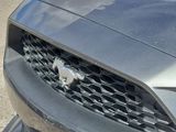 Used 2019 Ford Mustang Coupe image 6
