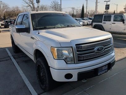 Used 2010 Ford F150 Platinum