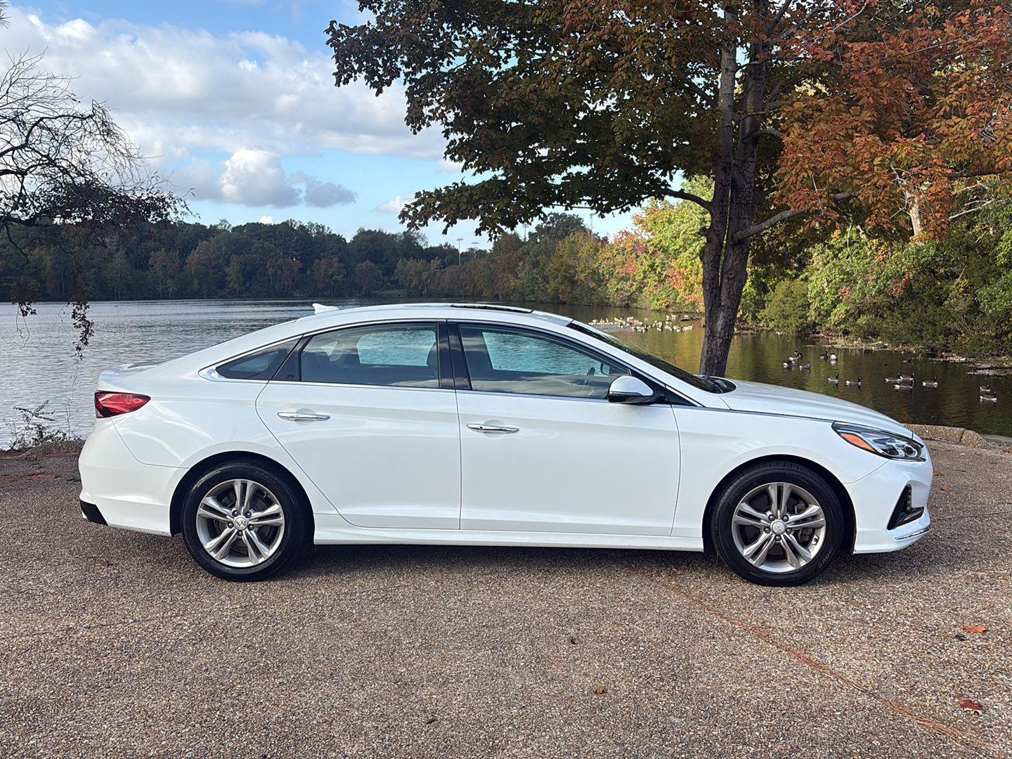 Used 2018 Hyundai Sonata Limited w/ Limited Ultimate Package 03 FWD image 3
