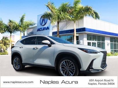 Used 2025 Lexus NX 350 AWD w/ Premium Package