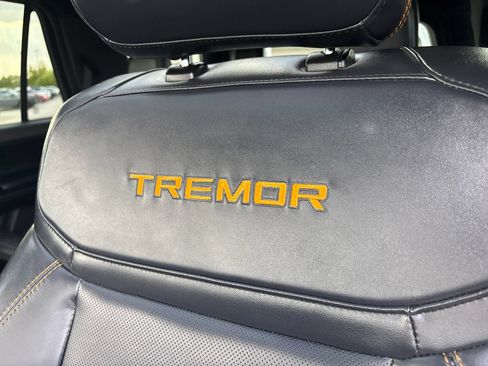 Used 2025 Ford Expedition Tremor AWD/4WD image 15