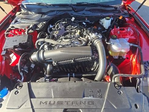 Used 2025 Ford Mustang Premium RWD image 13