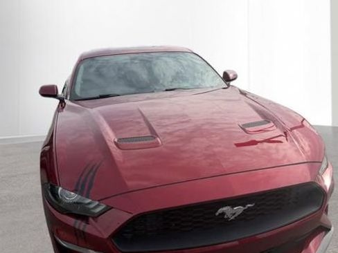 Used 2019 Ford Mustang Premium w/ Ecoboost Performance Package image 2