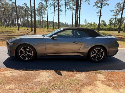 Used 2024 Ford Mustang Premium RWD image 2