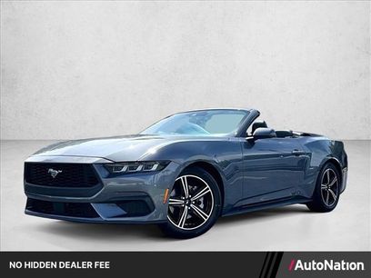 Used 2024 Ford Mustang Premium