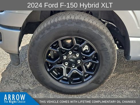 Used 2024 Ford F150 XLT w/ Equipment Group 302A MID AWD/4WD image 17
