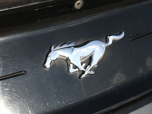 Used 2019 Ford Mustang Premium image 21