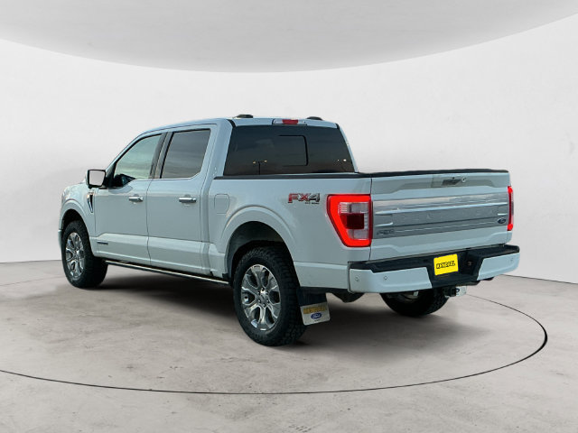 Used 2023 Ford F150 Platinum w/ Equipment Group 701A High AWD/4WD image 7