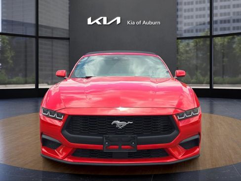 Used 2024 Ford Mustang Premium image 3
