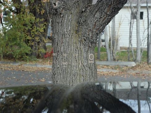 Used 2024 GMC Sierra 2500 Denali w/ Denali Reserve Package image 24