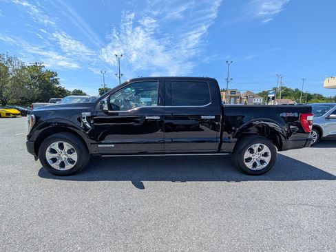 Used 2023 Ford F150 Platinum w/ Equipment Group 701A High AWD/4WD image 2