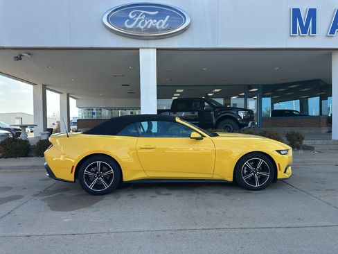 Used 2024 Ford Mustang Premium image 7