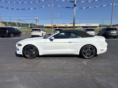 Used 2023 Ford Mustang Premium image 7