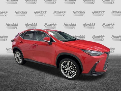 Used 2025 Lexus NX 350h AWD w/ Cold Area Package image 2