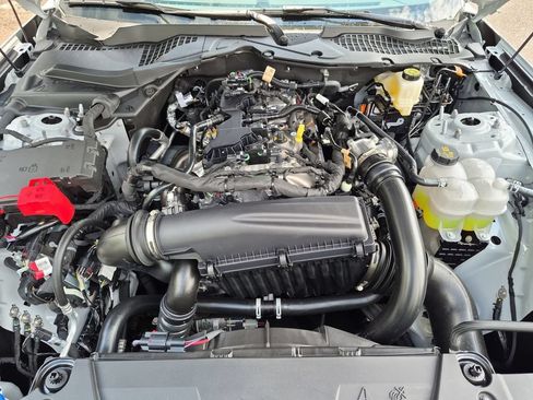 New 2026 Ford Mustang Premium w/ Mustang Nite Pony Package RWD image 26