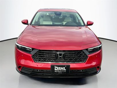 New 2025 Honda Accord EX-L