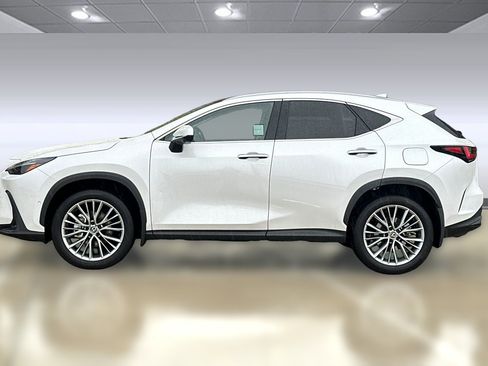 Certified 2025 Lexus NX 300h AWD w/ Luxury Package image 2