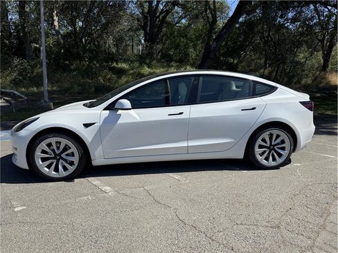 Used 2021 Tesla Model 3 Long Range AWD/4WD image 4