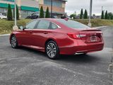 Certified 2020 Honda Accord EX-L image 4