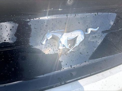 Used 2022 Ford Mustang Premium image 7