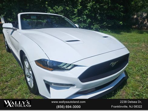 Used 2019 Ford Mustang Convertible image 1