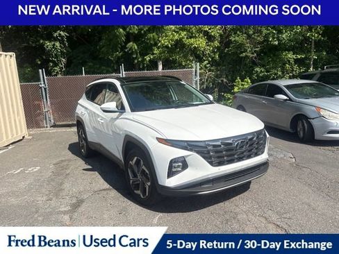 Used 2023 Hyundai Tucson Limited AWD/4WD image 3