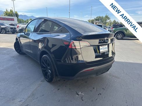 Used 2025 Tesla Model Y Long Range AWD/4WD image 5