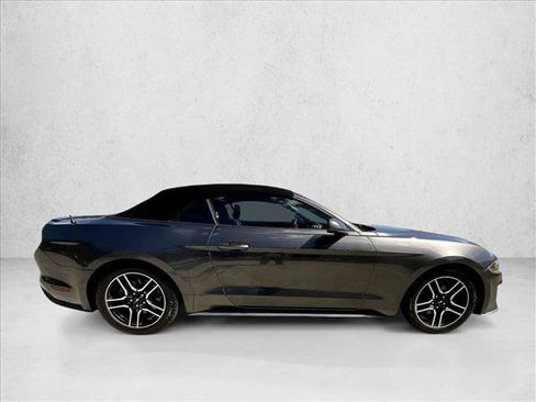 Used 2020 Ford Mustang Premium RWD image 3
