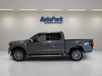 New 2024 Ford F150 XLT w/ Equipment Group 303A High