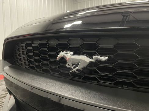 Used 2019 Ford Mustang Premium image 11
