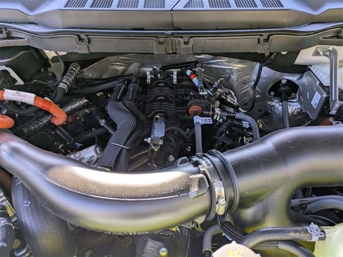 New 2025 Ford F150 XLT w/ Equipment Group 302A MID image 23