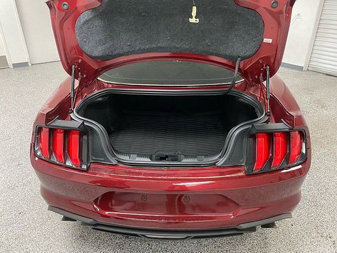 Used 2019 Ford Mustang Premium w/ Equipment Group 201A image 13