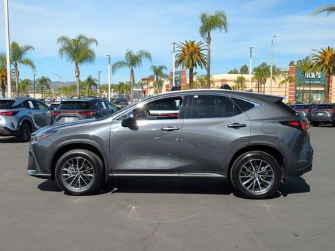 Used 2025 Lexus NX 250 FWD image 8