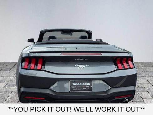 Used 2024 Ford Mustang Premium RWD image 6
