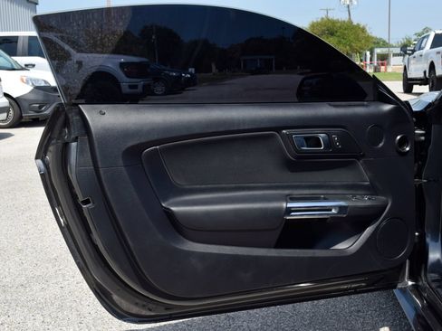 Used 2019 Ford Mustang GT w/ Equipment Group 301A RWD image 15