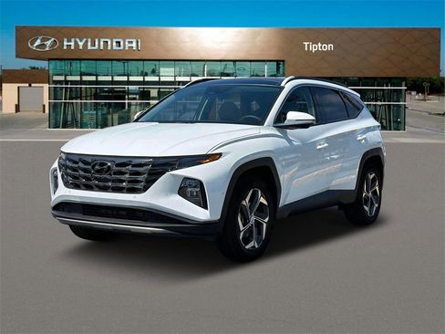 Used 2024 Hyundai Tucson Limited image 1