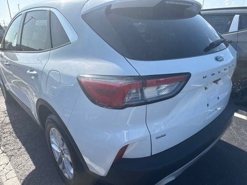 Used 2020 Ford Escape SE AWD/4WD image 6