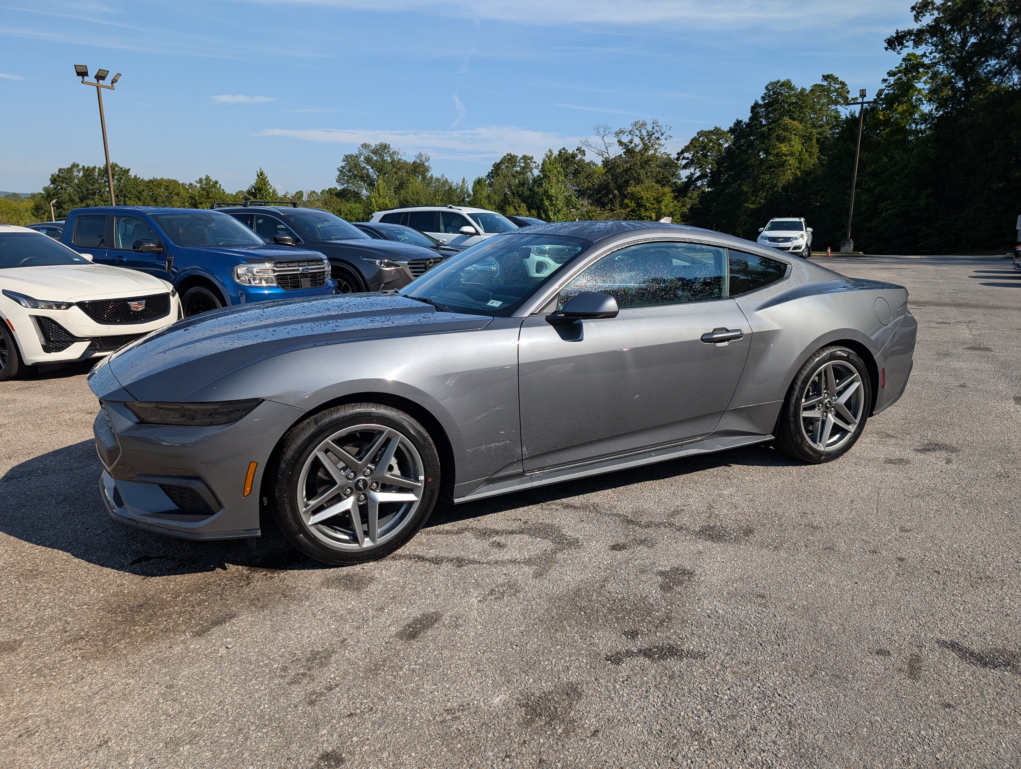 Used 2026 Ford Mustang Coupe RWD image 5