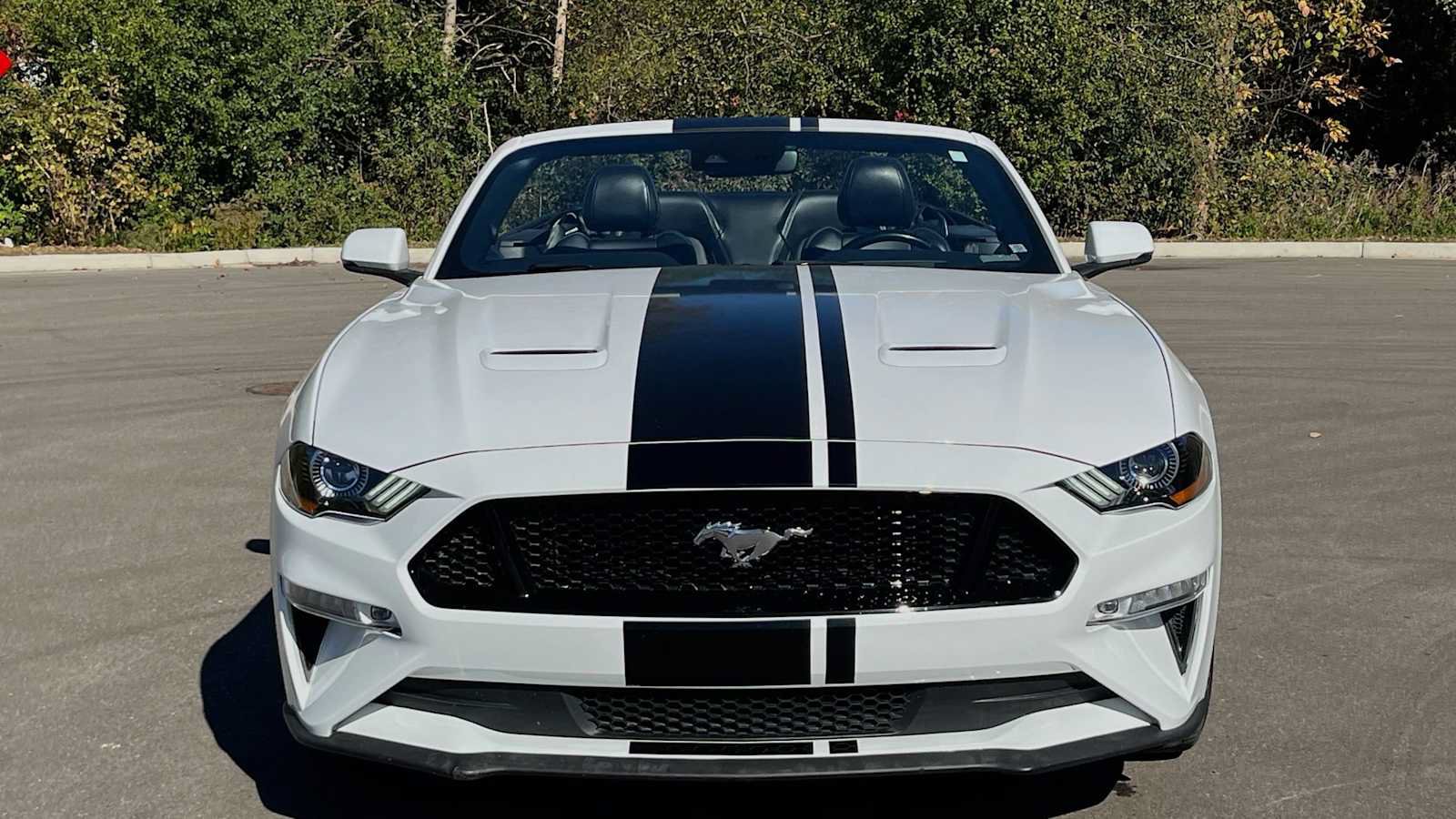 Used 2019 Ford Mustang GT Premium w/ Equipment Group 401A RWD image 21